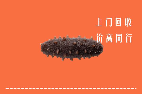 金台区回收海参